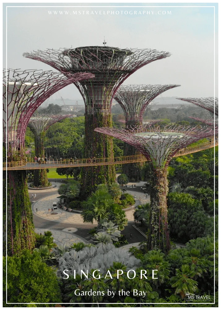 Gardens by the Bay, Singapore 3