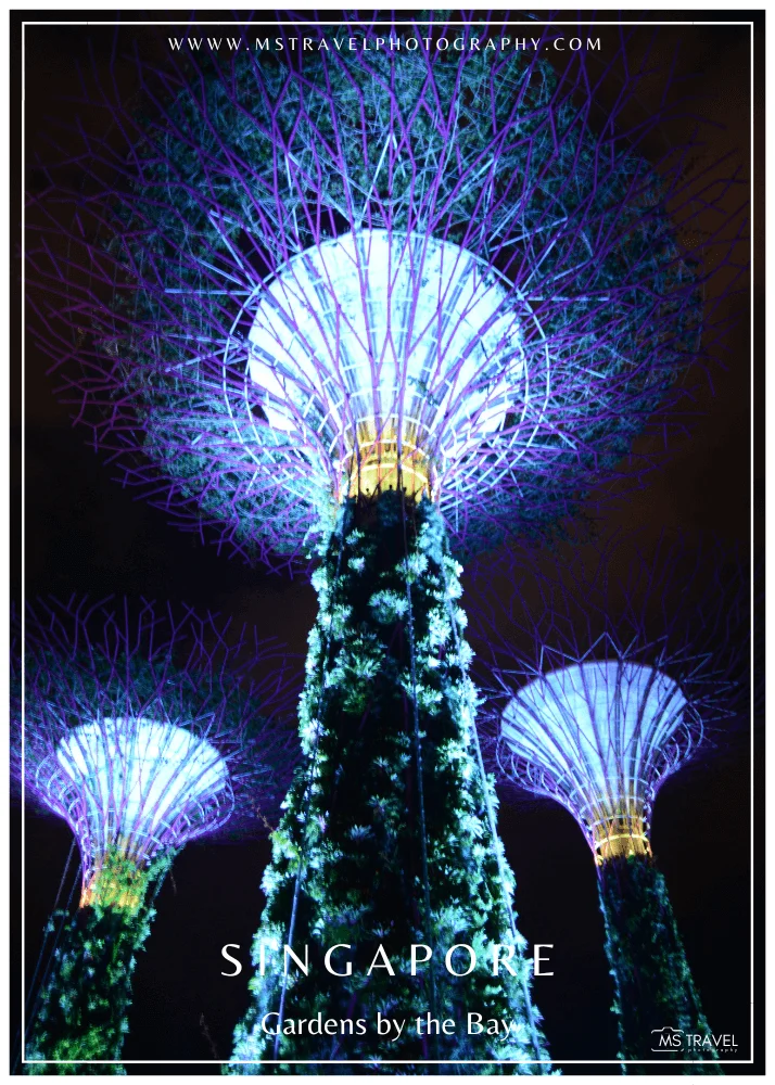 Gardens by the Bay, Singapore 5