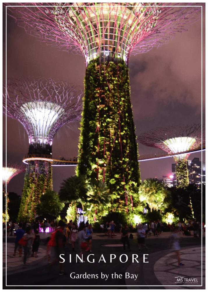 Gardens by the Bay, Singapore 6